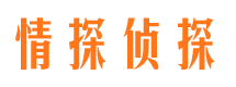 临清捉小三公司